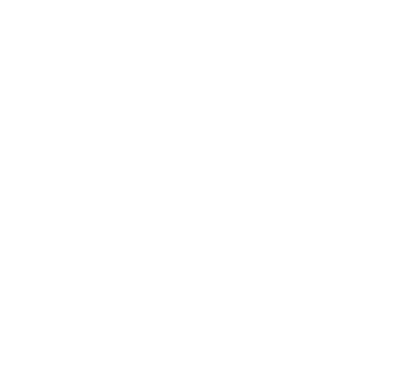 The Collection